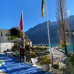 Alpenblume - Direct View Brienz (Bern)