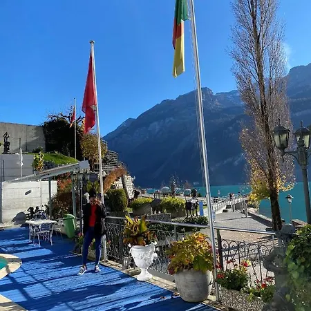 Alpenblume - Direct View Brienz (Bern)