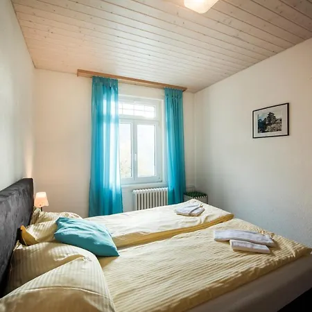 Alpenblume - Direct View