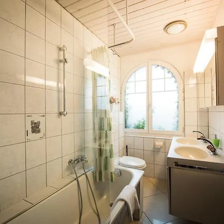 Holiday Alpenblume Apartment Brienz (Bern)
