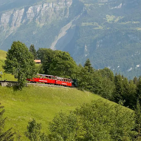 Apartman Alpenblume - Direct View *