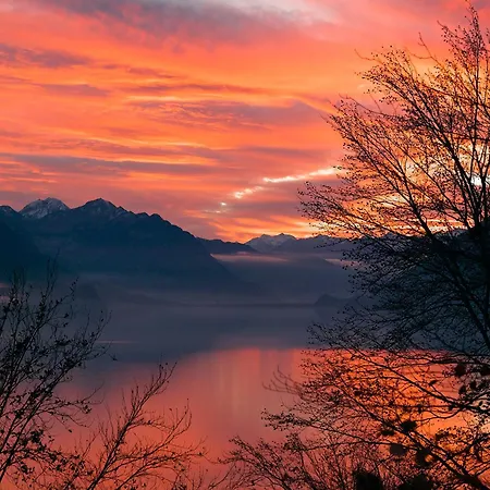 Alpenblume - Direct View Lejlighed Brienz (Bern)