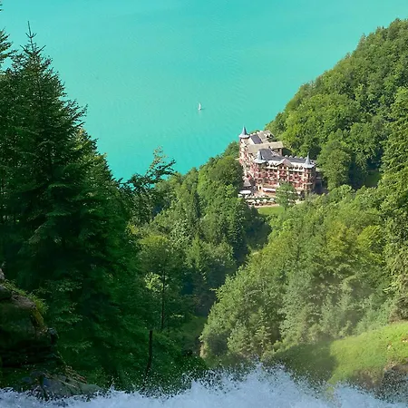 Alpenblume - Direct View *