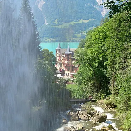 Alpenblume - Direct View * Brienz (Bern)