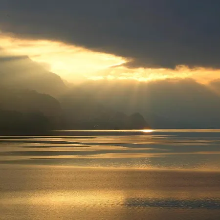 Alpenblume - Direct View *