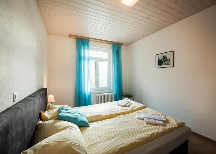 Alpenblume - Direct View