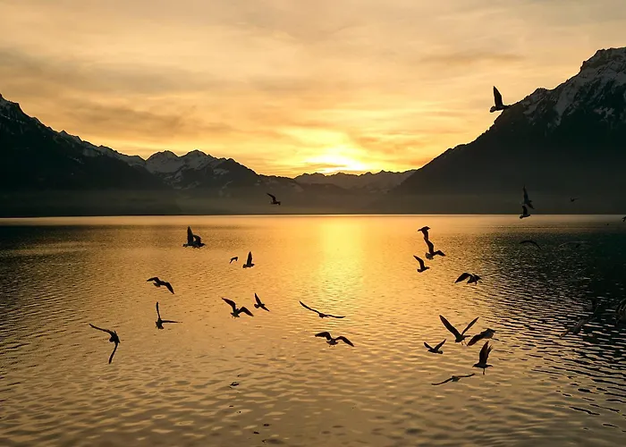 Διαμέρισμα Alpenblume - Direct View Brienz (Bern)