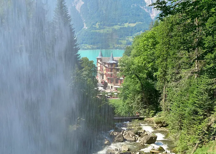 Alpenblume - Direct View * Brienz (Bern)