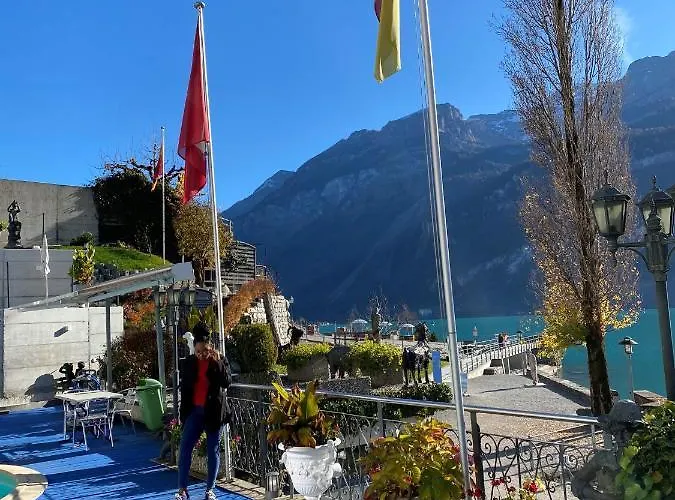 Alpenblume - Direct View Brienz (Bern)