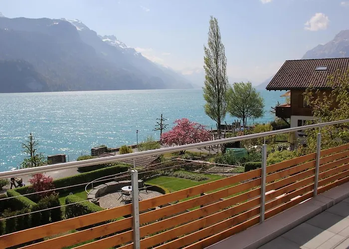 Alpenblume - Direct View Brienz (Bern)